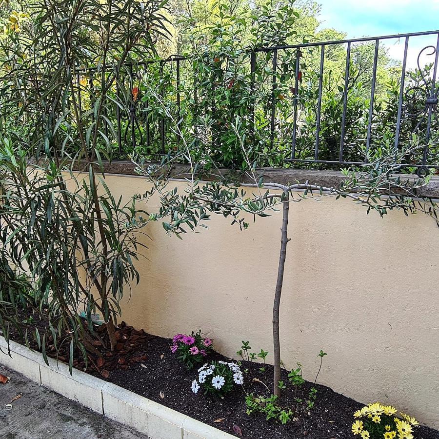 Casa Mon Βίλα Tiurana Εξωτερικό φωτογραφία